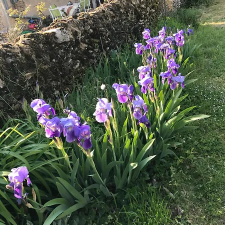 La Maison D Helene *