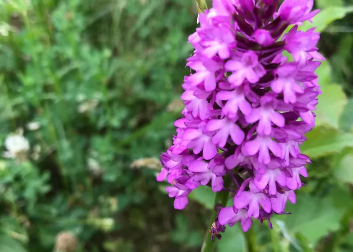 La Maison D Helene Bed & Breakfast Cambes (Lot)