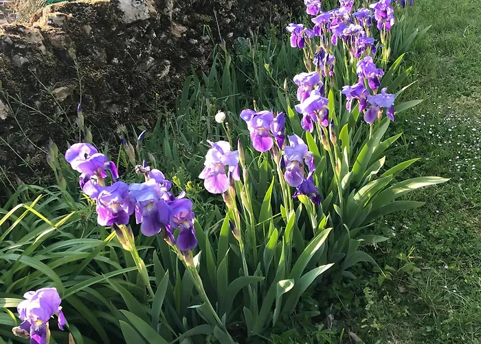 La Maison D Helene *
