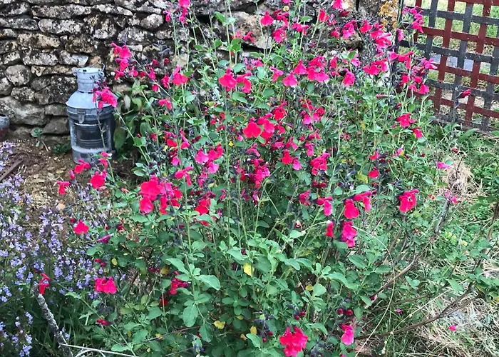 Bed & Breakfast La Maison D Helene *