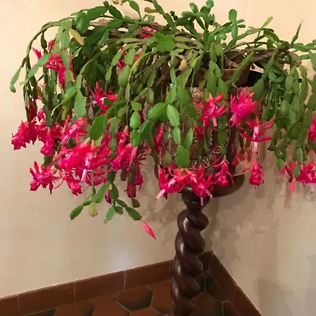 La Maison D Helene *