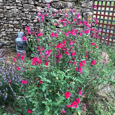 Bed and breakfast La Maison D Helene *