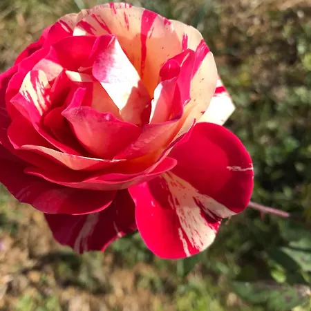 La Maison D Helene *