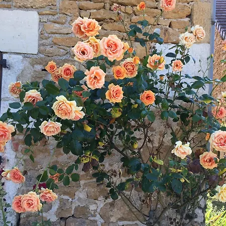 La Maison D Helene