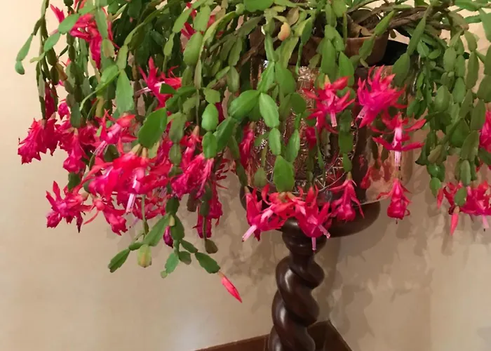 La Maison D Helene *